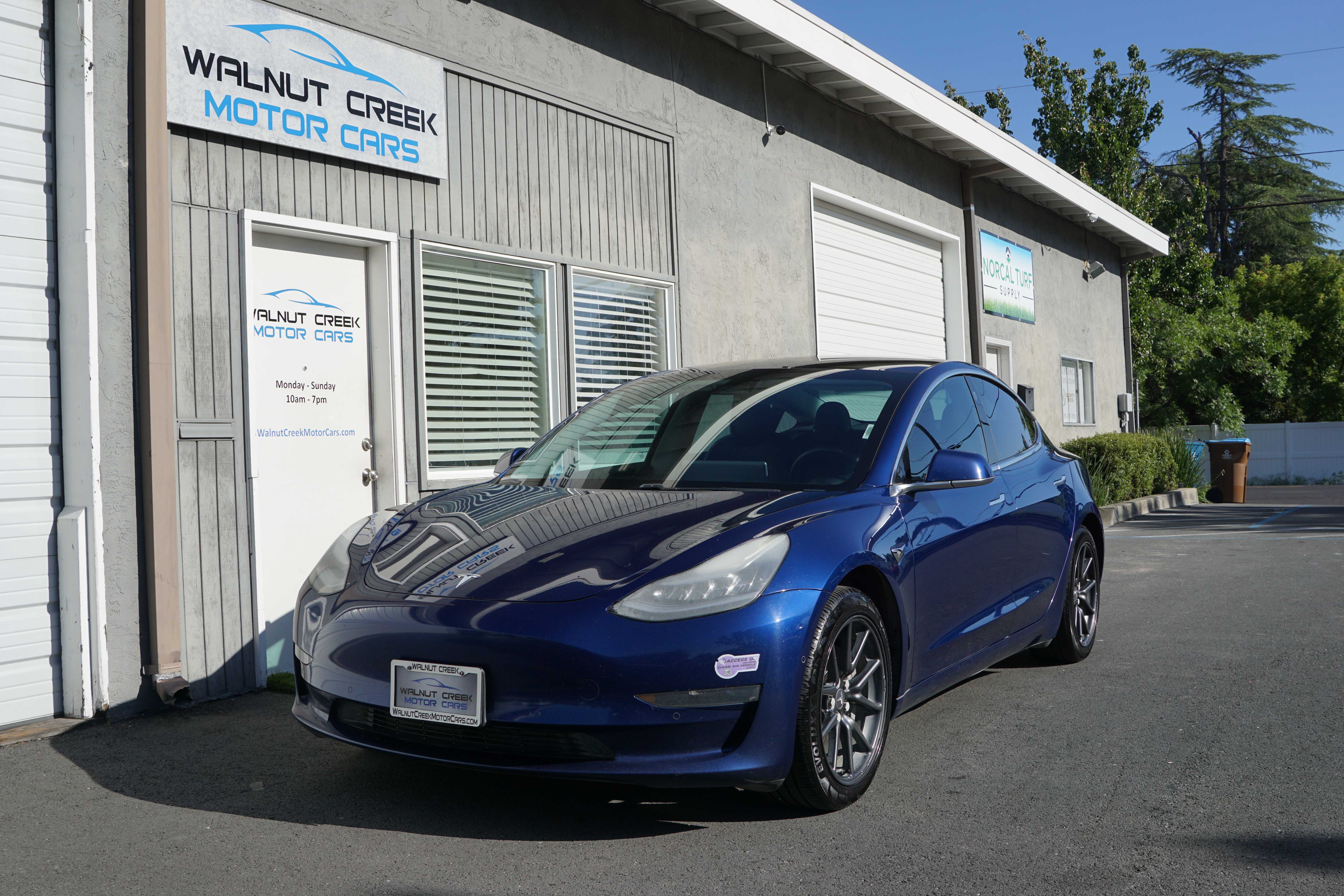 Blue 2019 Tesla Model 3 Standard Plus RWD Sedan Rear-Wheel Drive Automatic